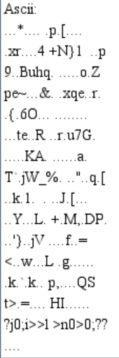 additional bytes